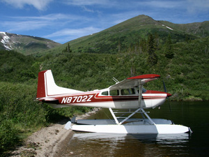 1975 Cessna 185F Skywagon for sale