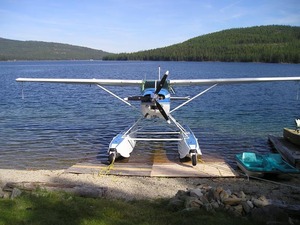 1981 Cessna 185F for sale