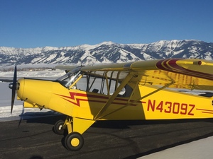 1968 Piper PA-18-150 for sale